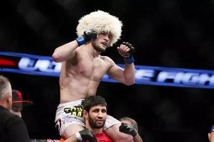 达尔基,揭示生命起源与演化的奥秘